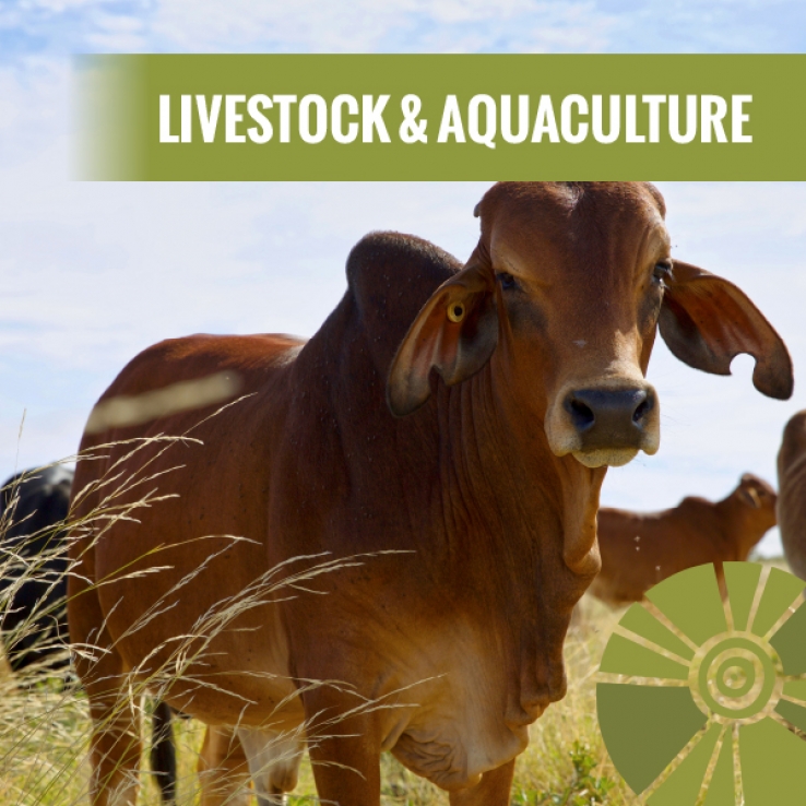 Livestock and Aquaculture