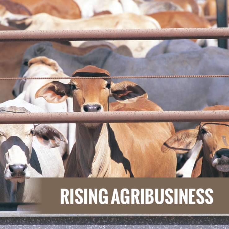 Rising Agribusiness